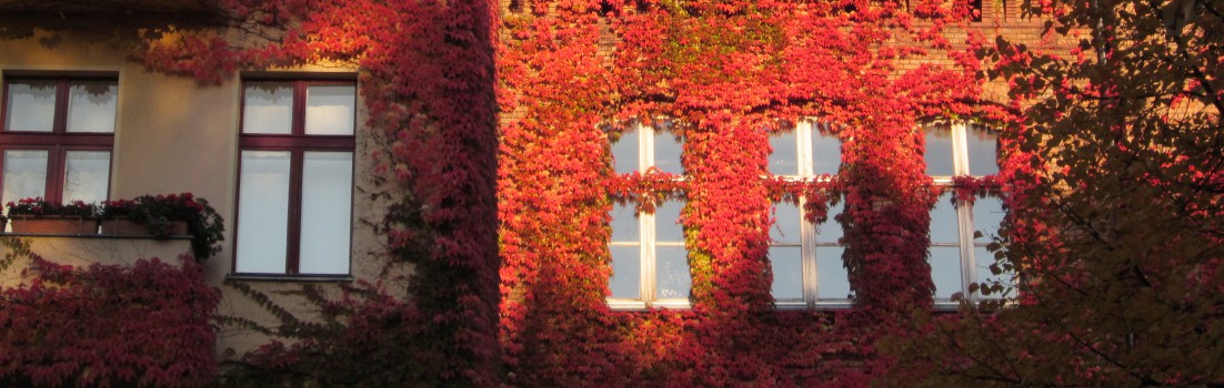 Berlin 10997 - Lausitzer Platz - 131013-004