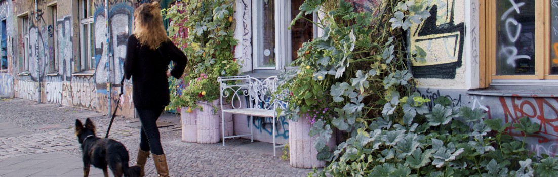 Berlin 10245 - Friedrichshain - Revaler Straße - 130914-004